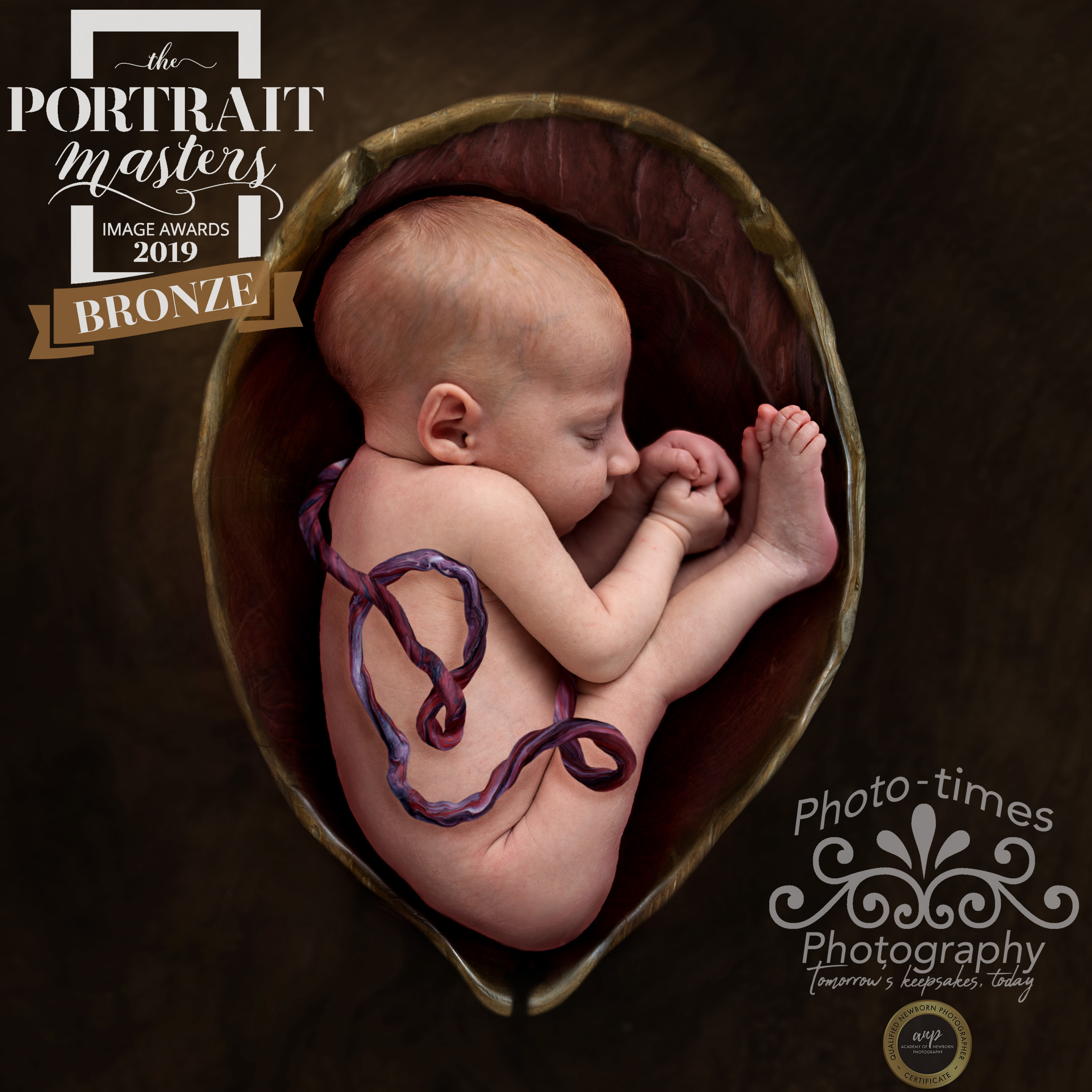 Another Bronze in the Portrait Masters Awards