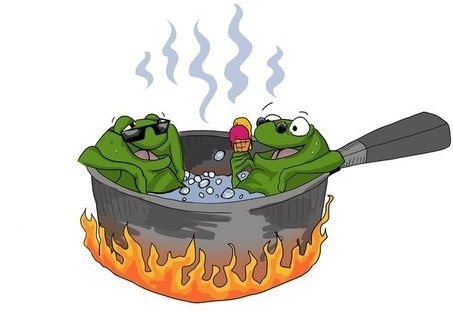 Are You A Boiling Frog? | Northamptonshire Chamber