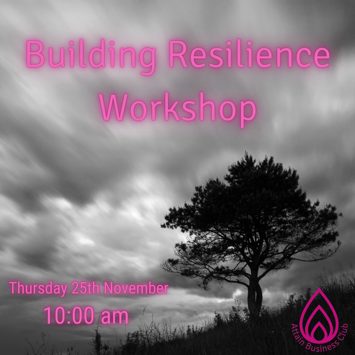 FREE Building Resilience Workshop 25th November 