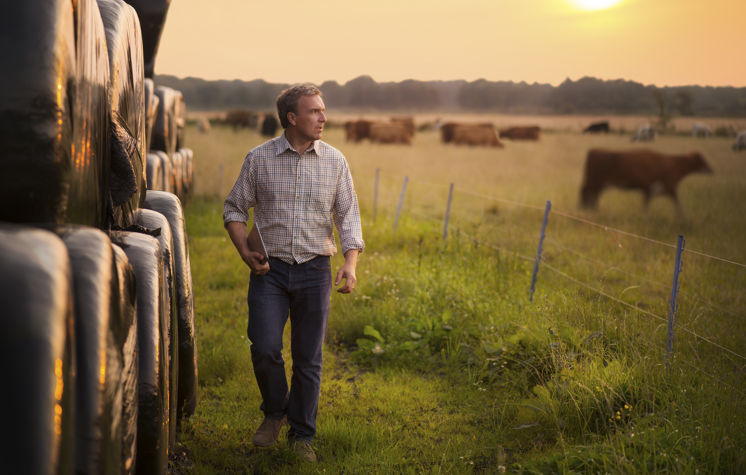 Applications open for the Sustainable Farming Incentive