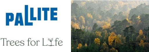 PALLITE® plants 2,000 trees as part of National Tree Week