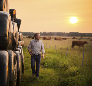 Funding available for rural businesses under the Growth Programme